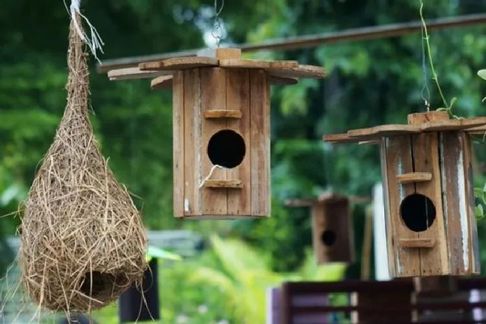 Красивые домики для птиц