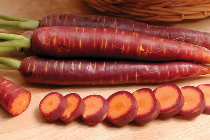Черная (фиолетовая) морковь: фото, сорта, описание, выращивание