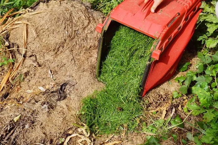 Газонная трава для компоста